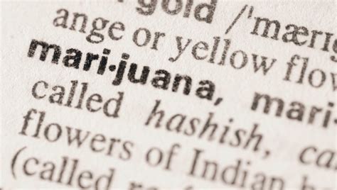The Weed Dictionary: Stoners' Slang Explained .